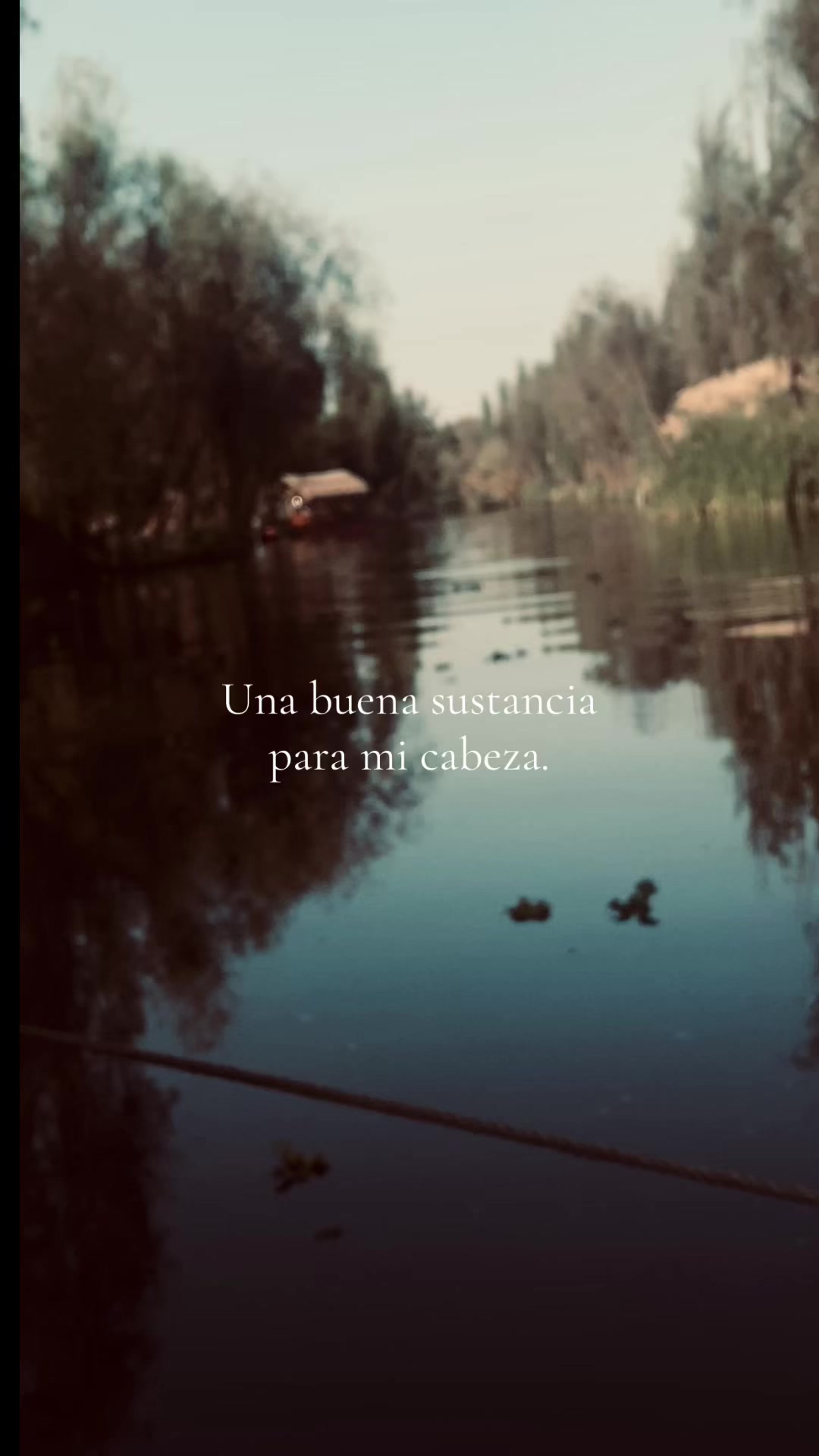 @gxldwn_ax
