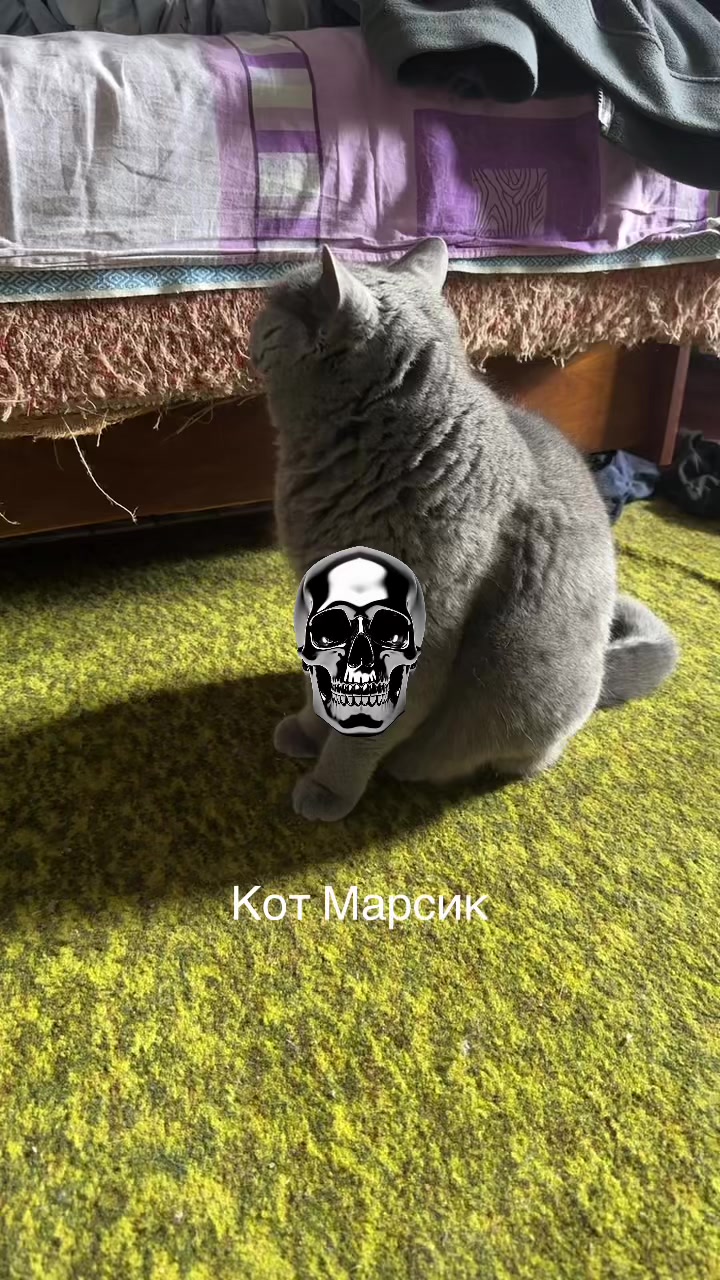 @🪓🪓🪓