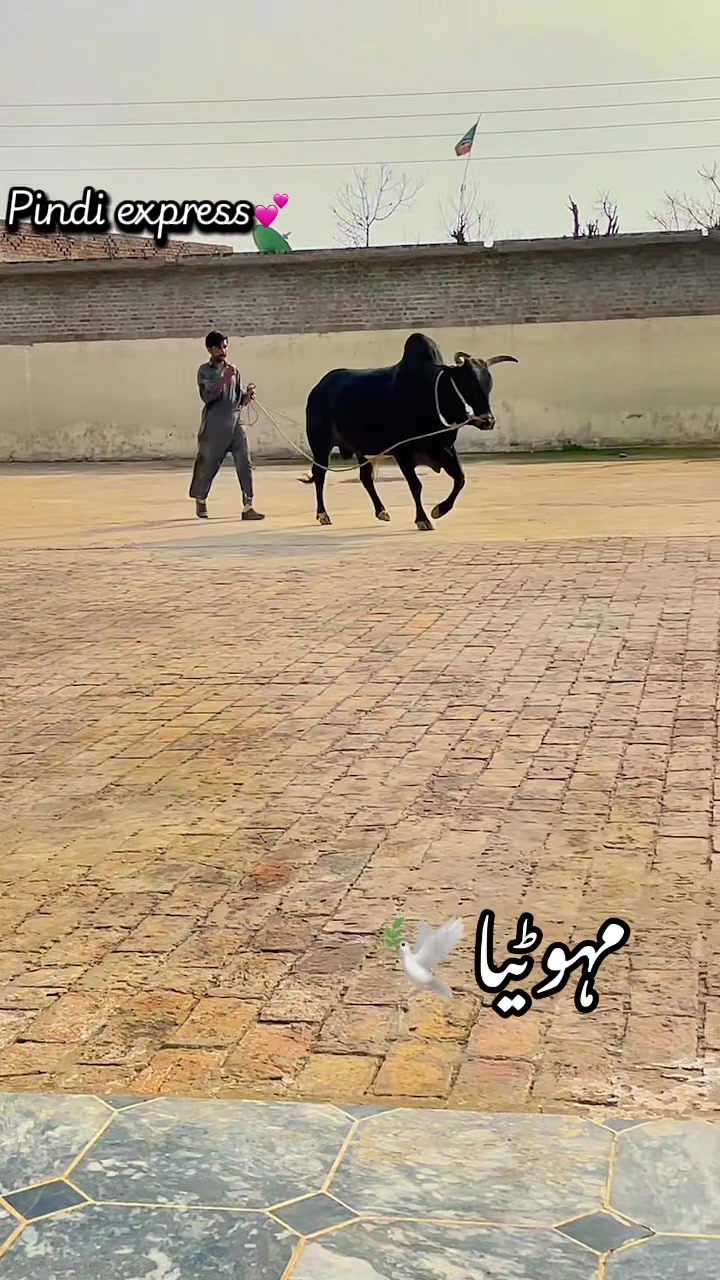 @Ch badar hussain
