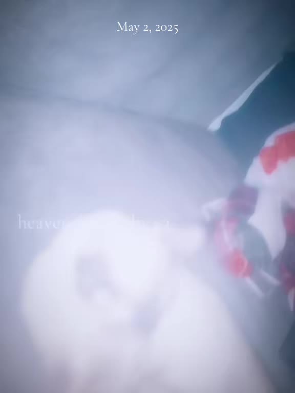 @yxng_dead59