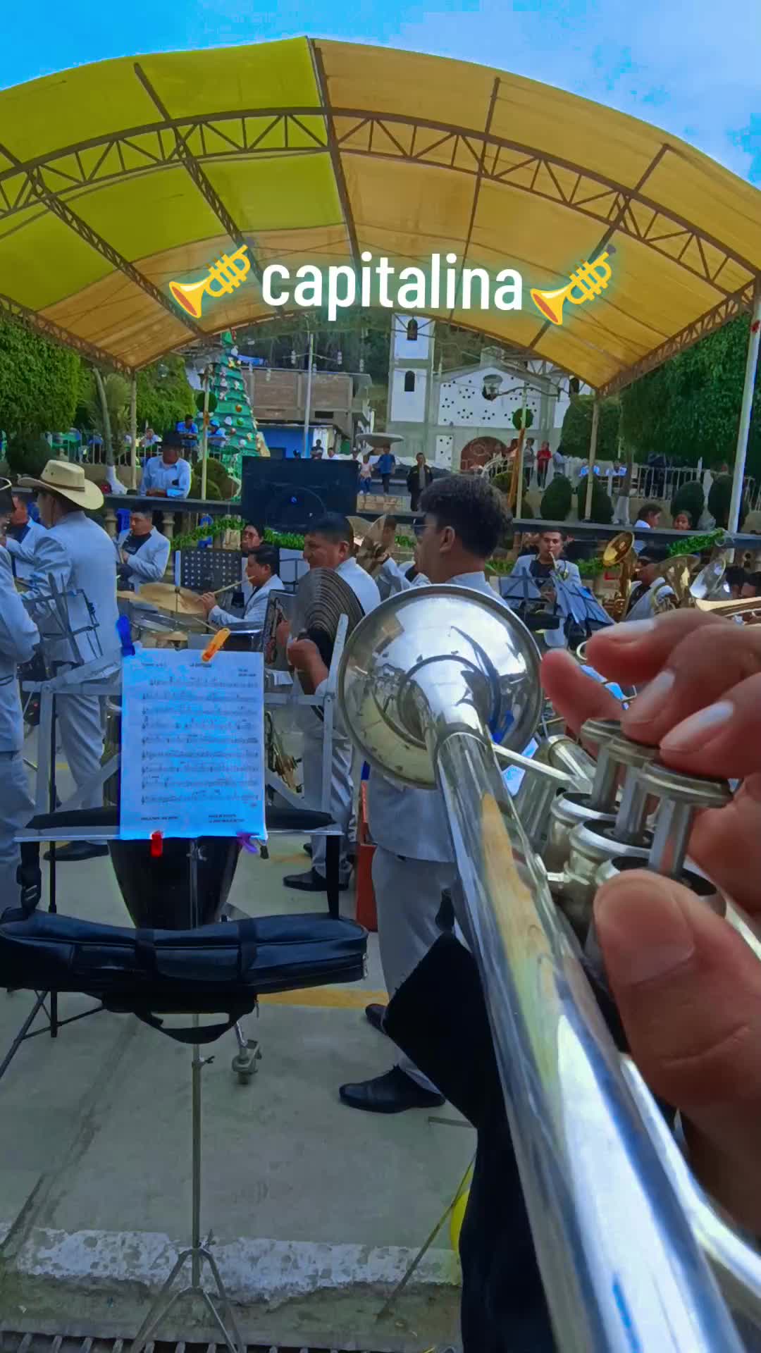 @🎺VERIAO🎺