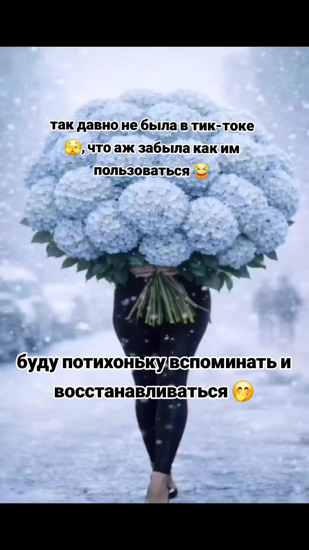 @⚜️🄴🄶🄾🄸🅂🅃🄺🄰⚜️