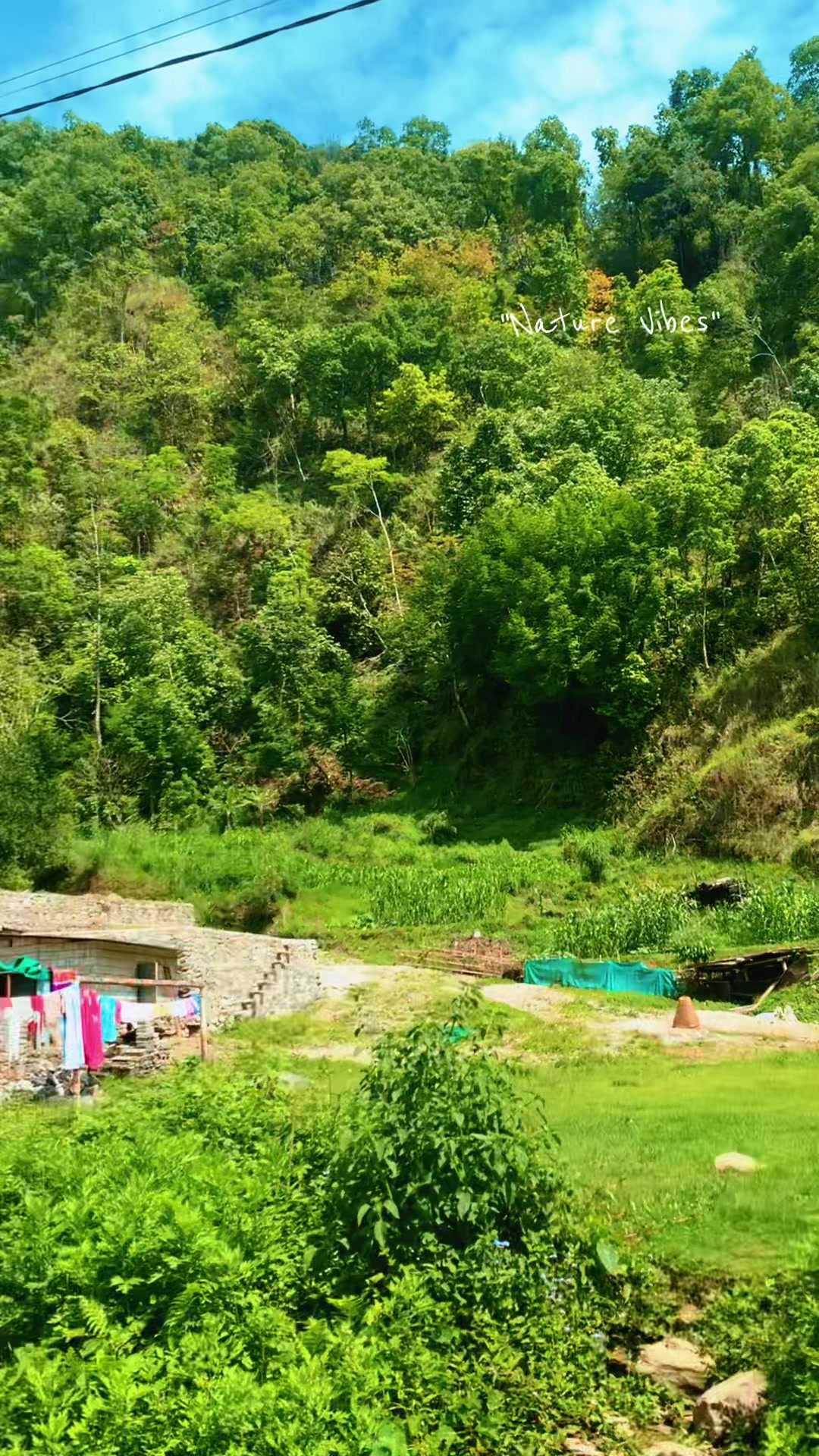 @Ankita chaulagain