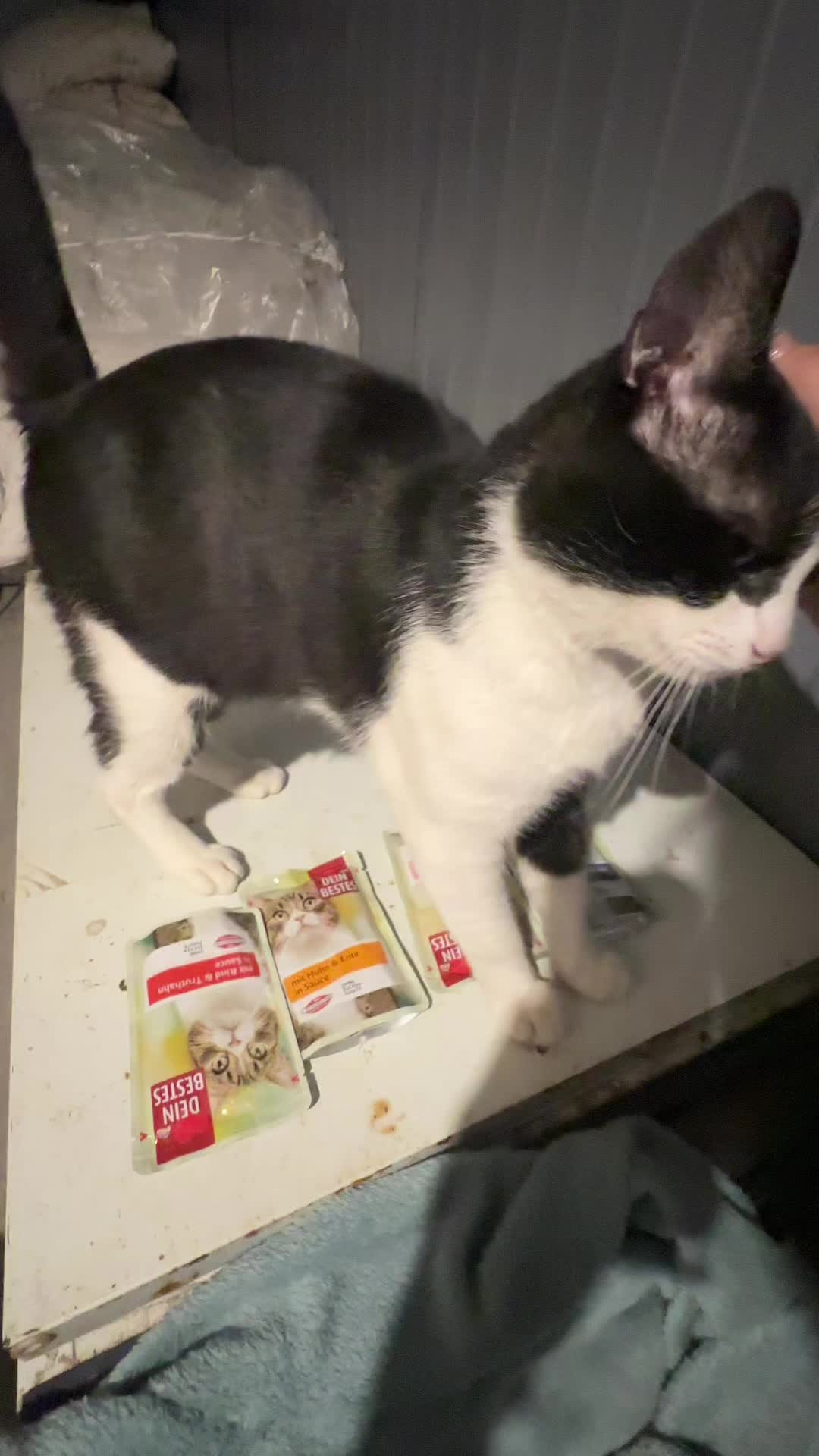 @cosanostrapurr