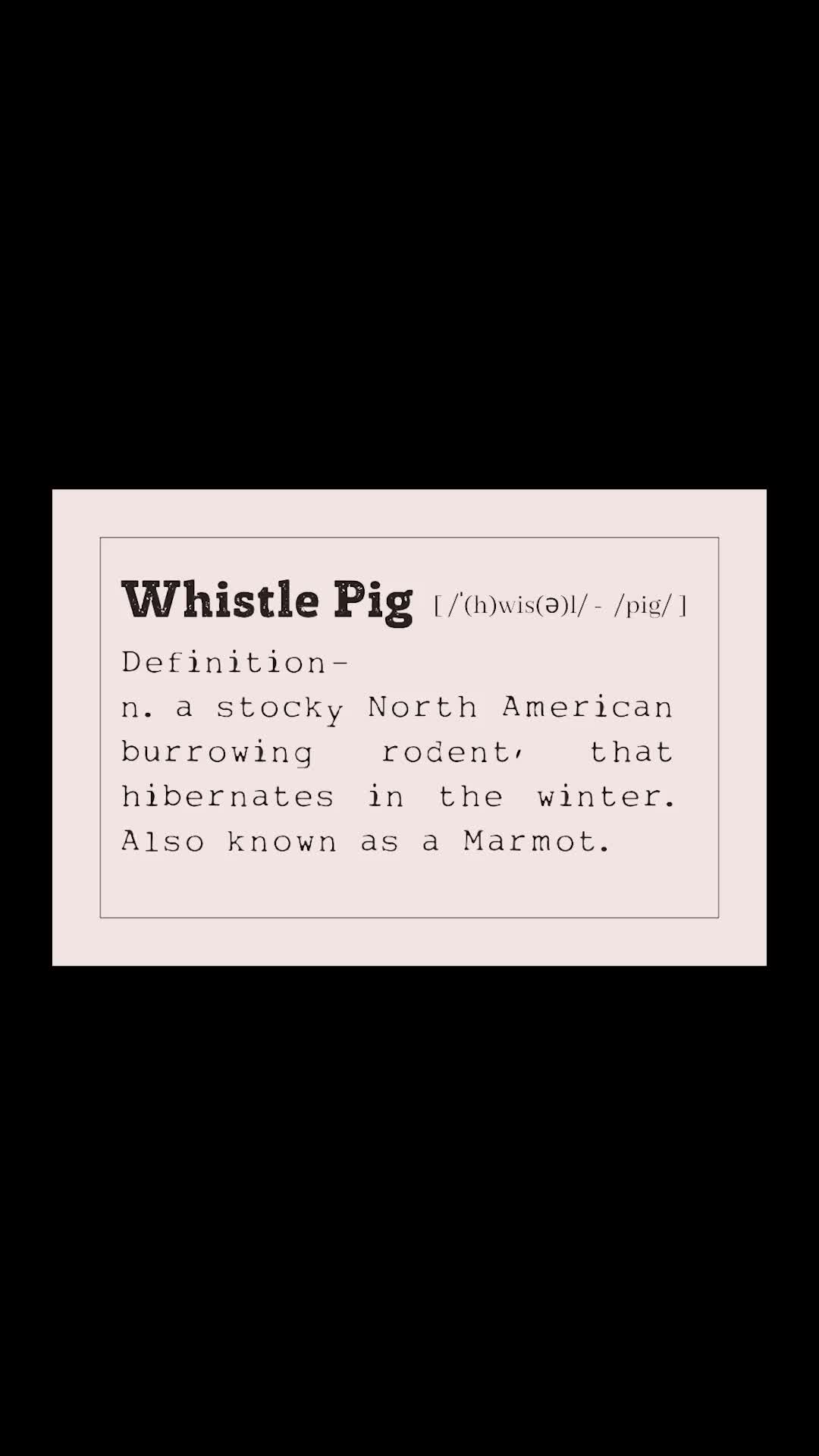 @Whistle Pig Korean