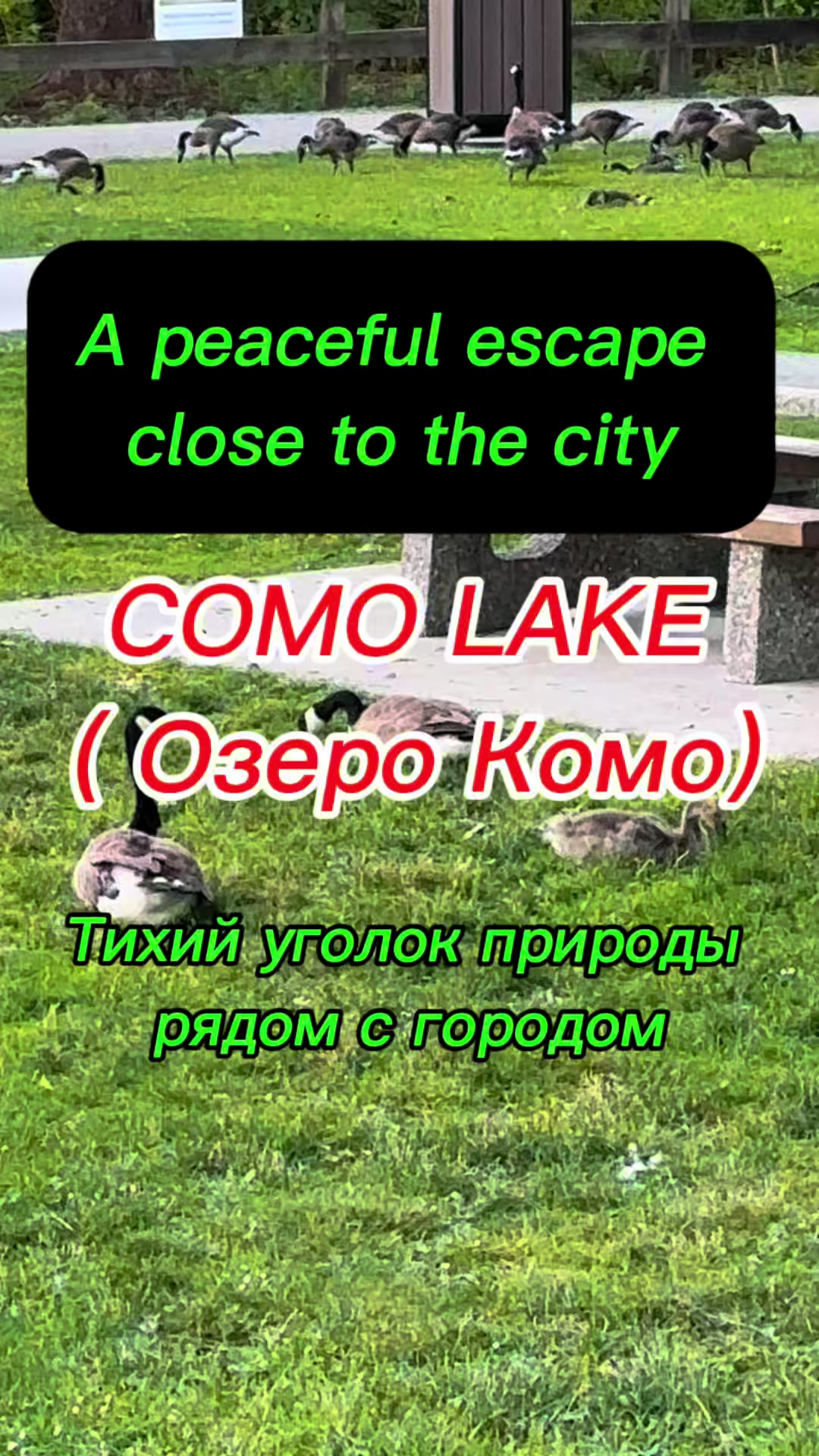 @Igor Stetsyuk