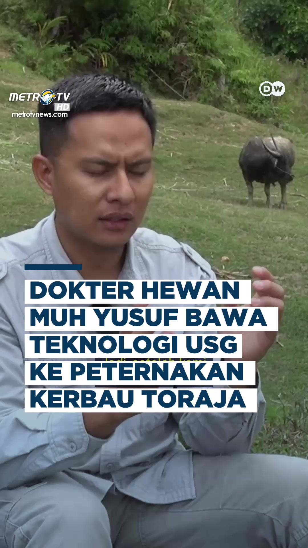 @Metro TV