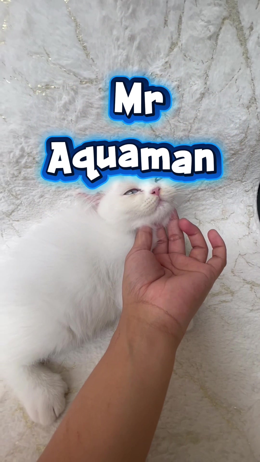 @BIQUIN