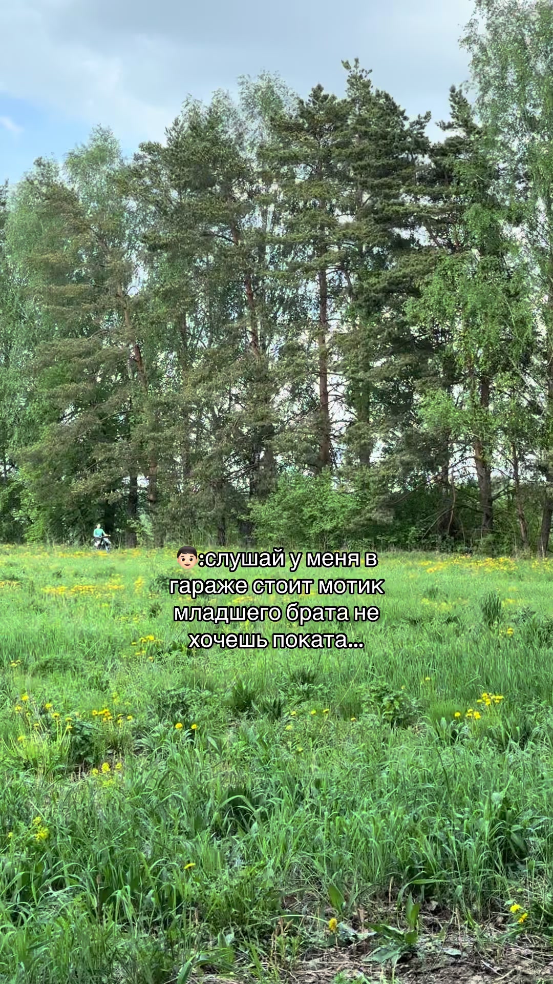 @кошка🇷🇺🇺🇦🇵🇱🇩🇪