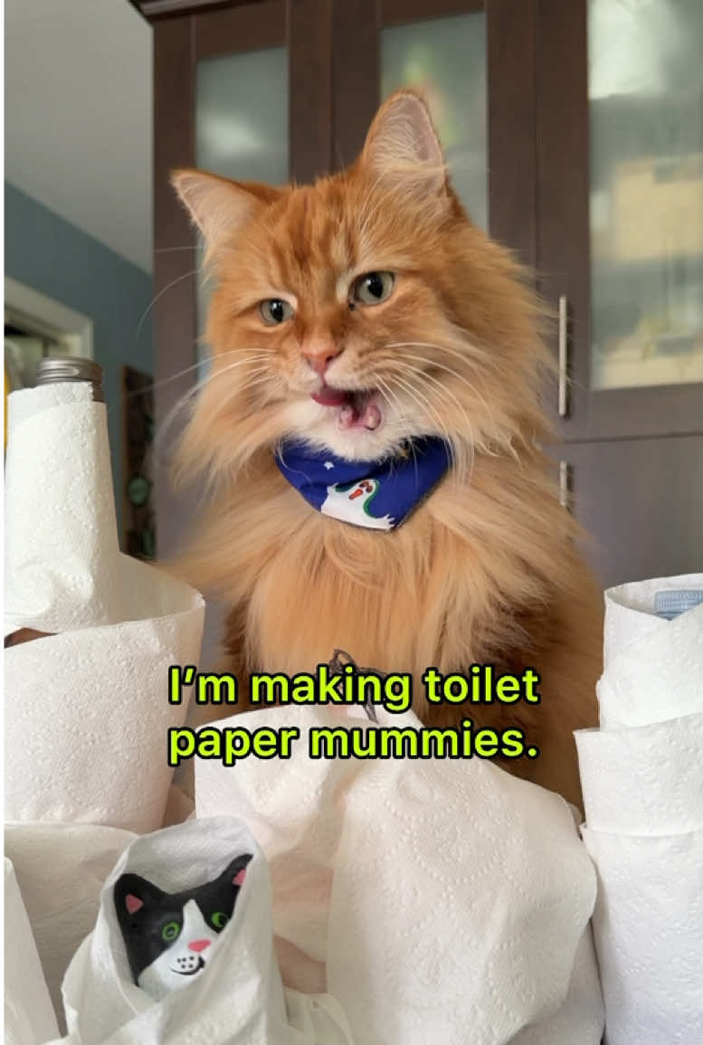 @The Oreo Cat
