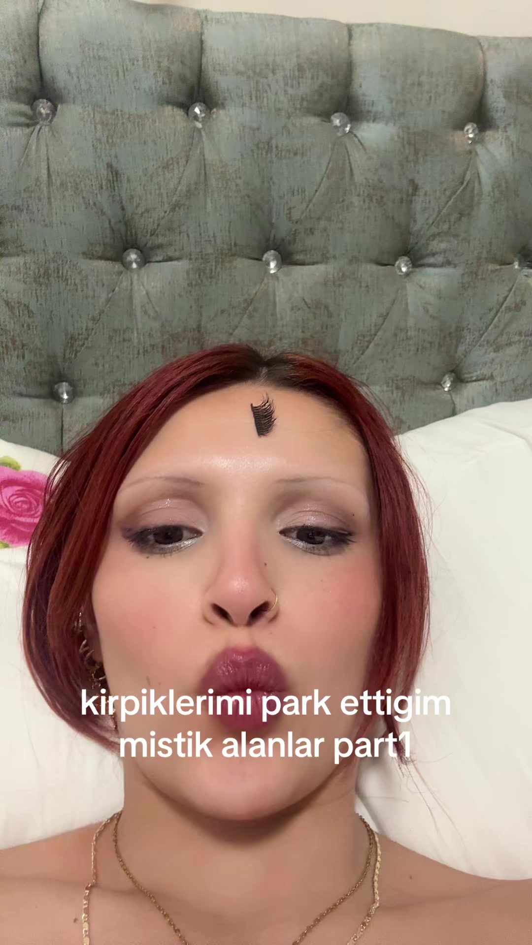 @v1snebrownie