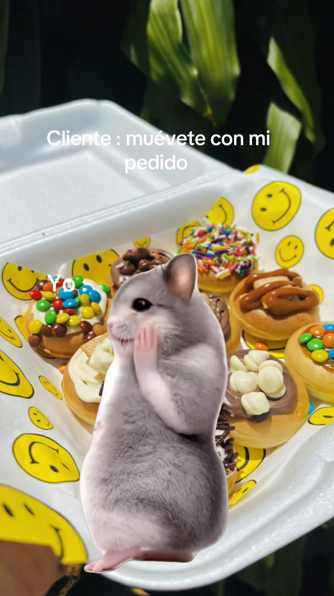 @๐บ๐๐๐๐๐๐๐๐ก๐๐ซง๐ค