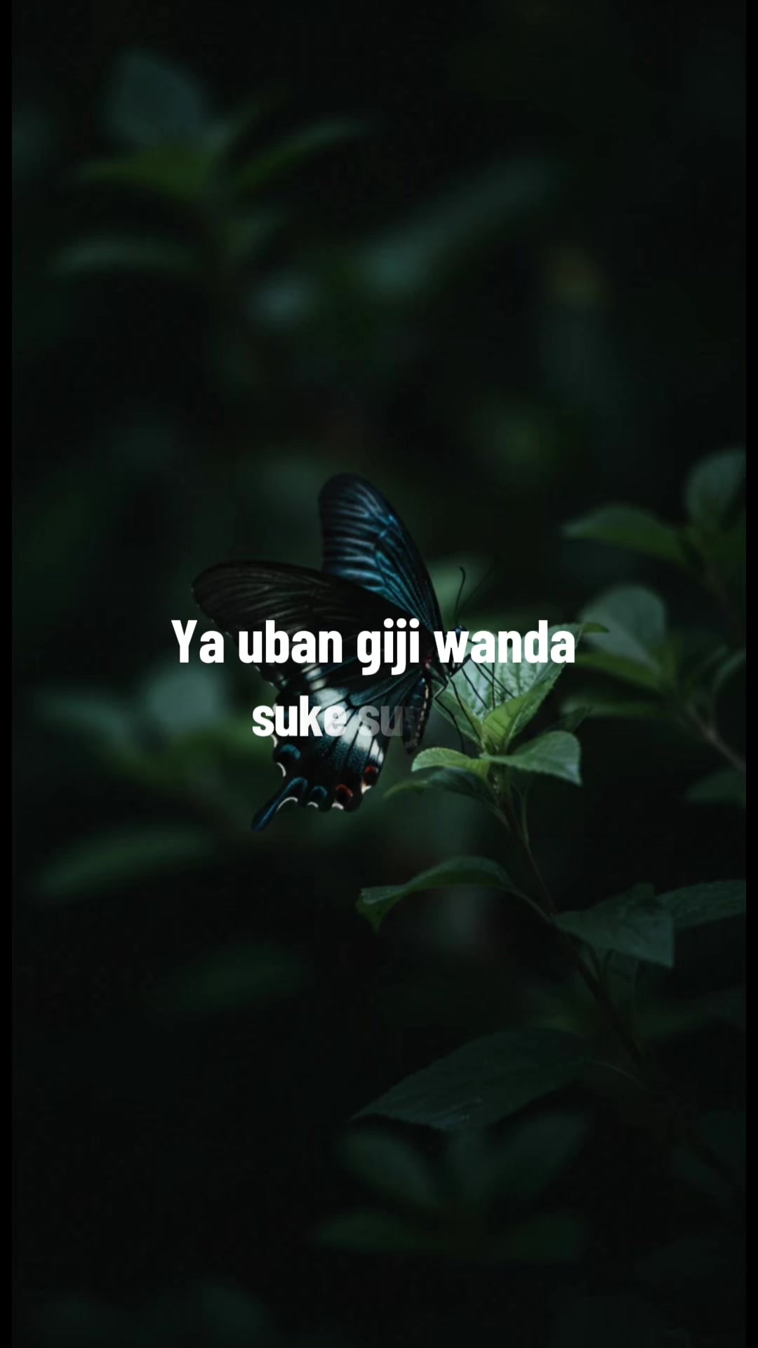 @hidden__soul2