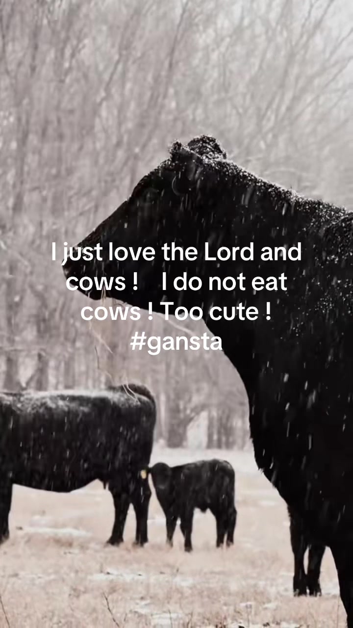 @ganstagirlsoklahoma