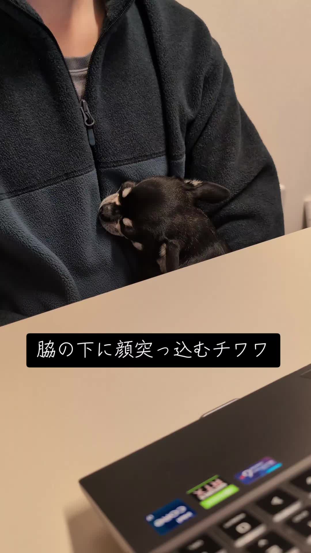@ZEN