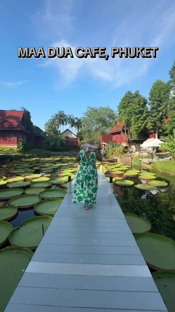 @mehaktrehan02