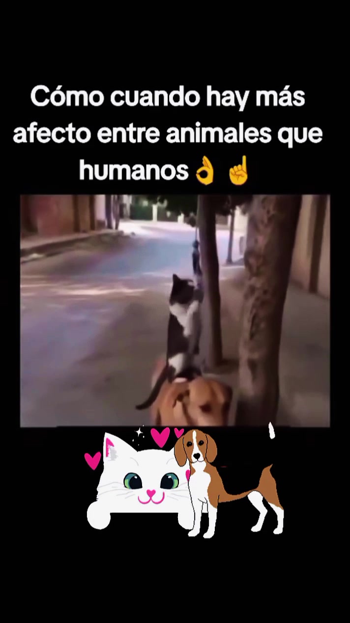 @varcan❤️