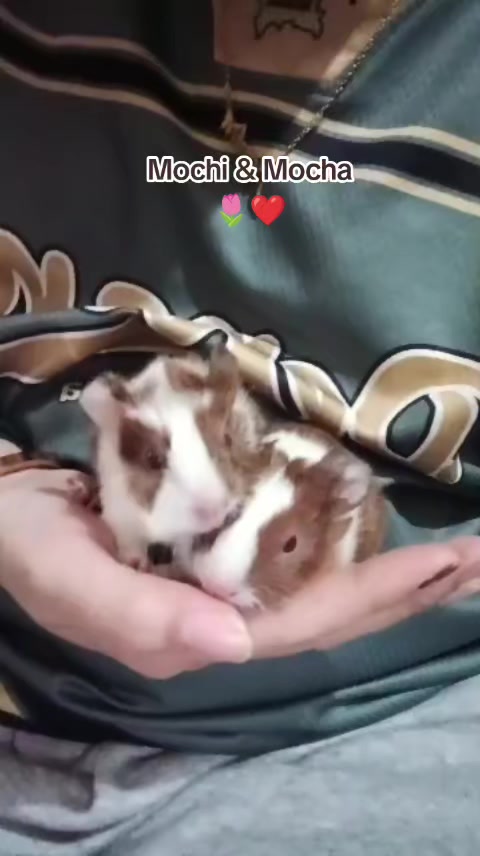 @𝖊𝕼𝖎𝖈𝖍𝖆𝖆𝖓❤️