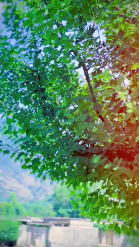 @ꚠ𝗔𝗬𝗔𝗦𝗛‿⁸⁰⁴𓍯𓂃𓏧