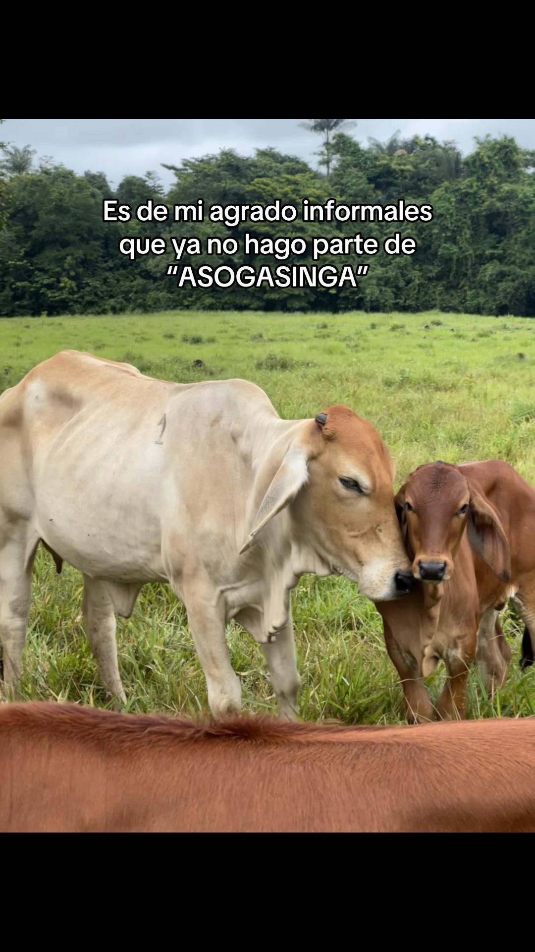 @Aleja🐴