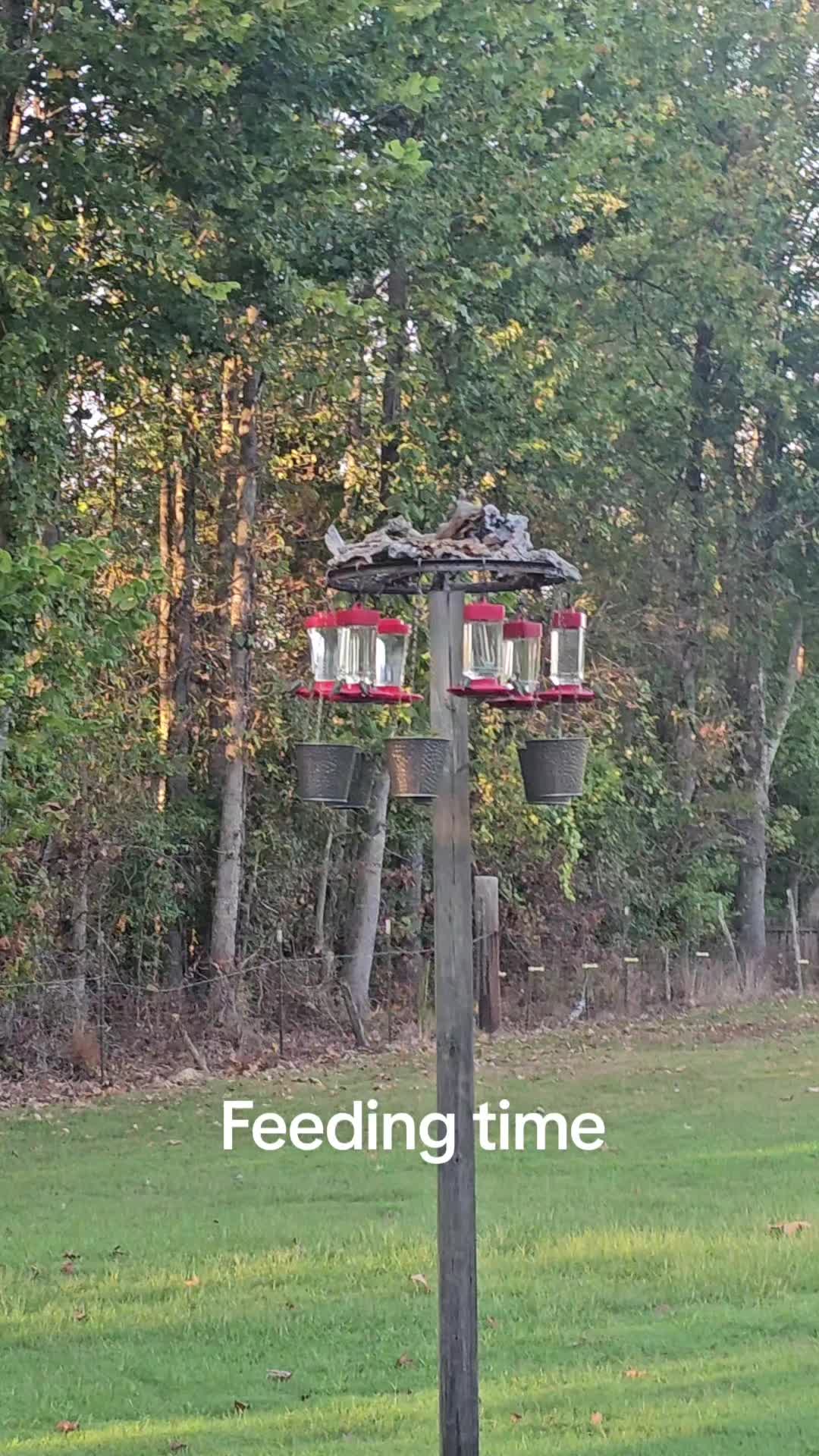 @account 17