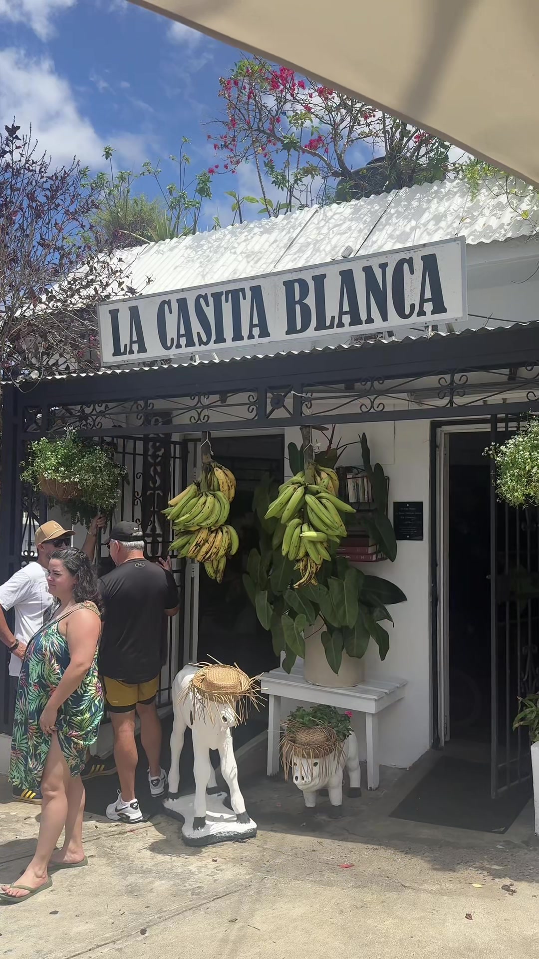 @Daniela