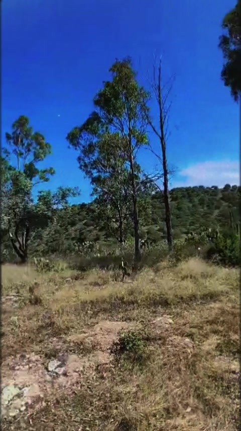 @IsidroEscobar