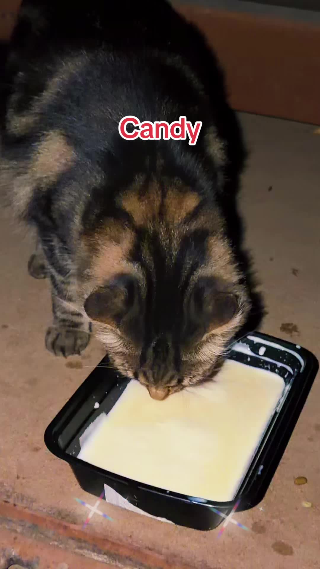@Amri Gatitos