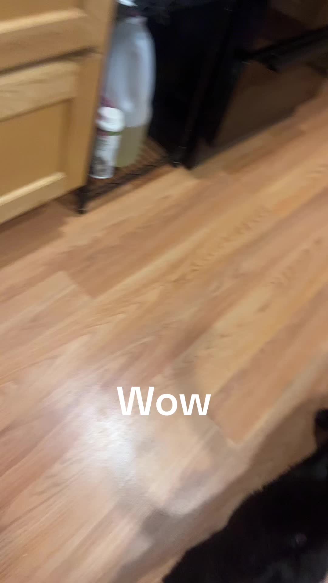 @idekwhatimdoing._0