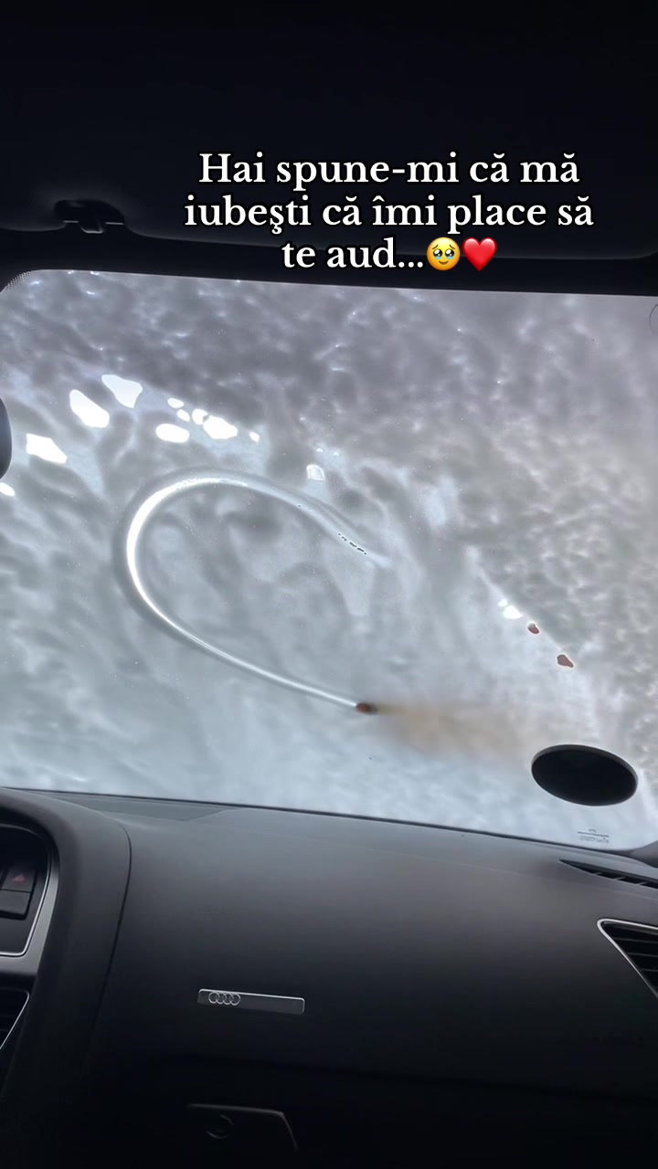 @DanielaIchim