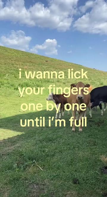 @:0