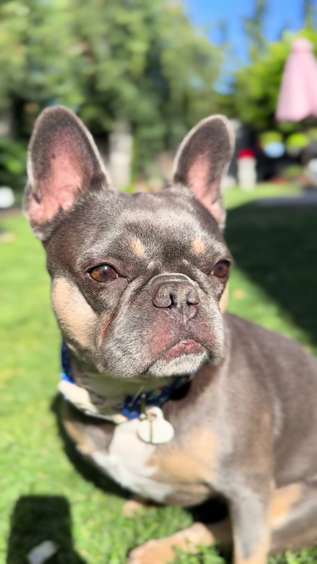 @Lily