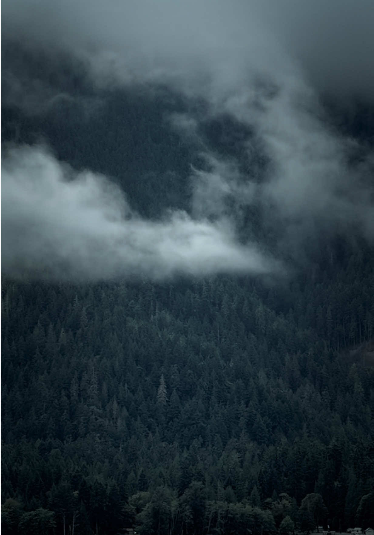 @Jordan PNW Adventures