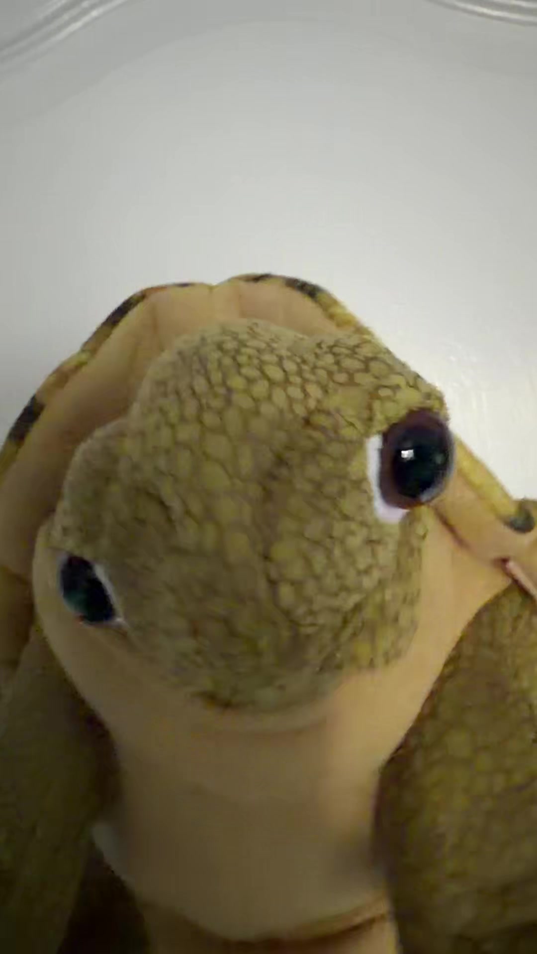 @puppetpictureshow
