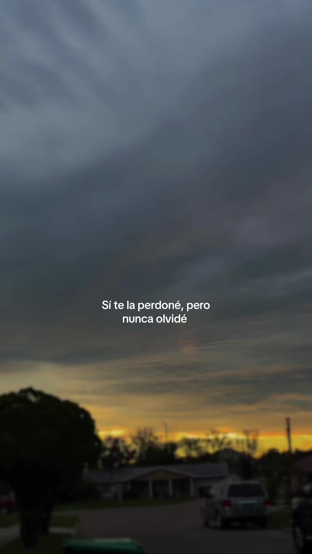 @Marisol