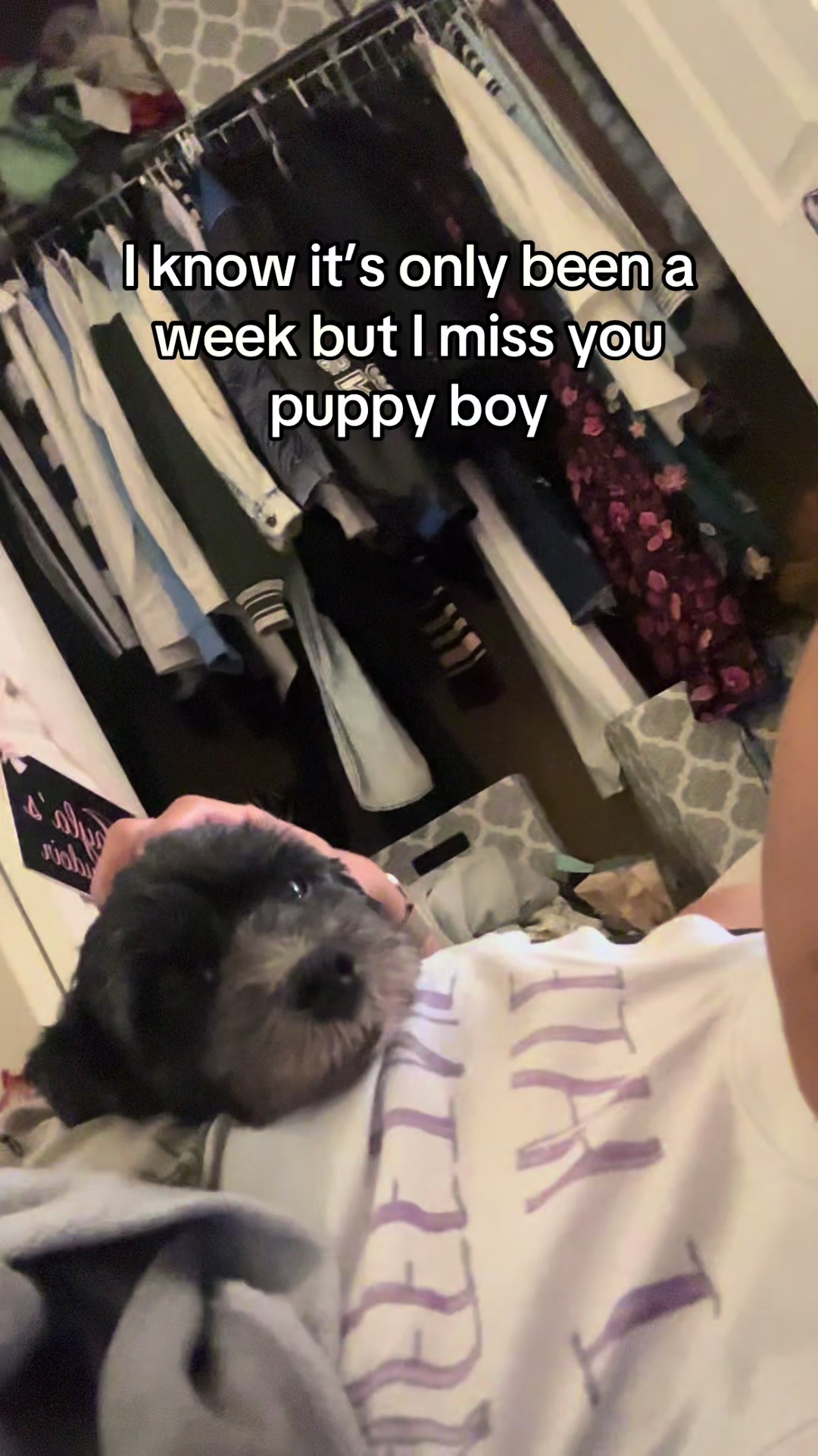 @Mockingjjayyy
