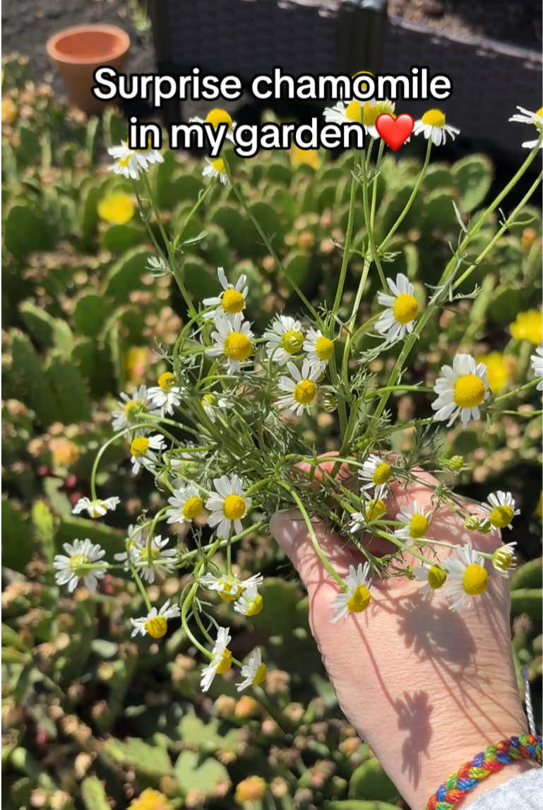 @Jennifer