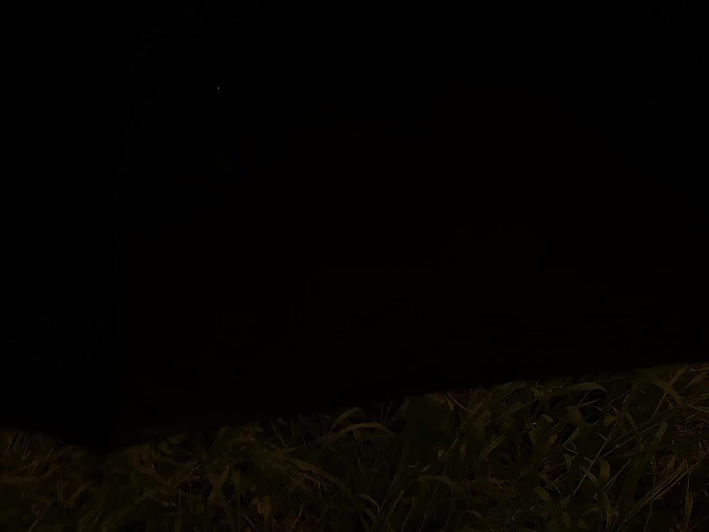 @𝕹𝖎𝖑𝖆_𝖑𝖕