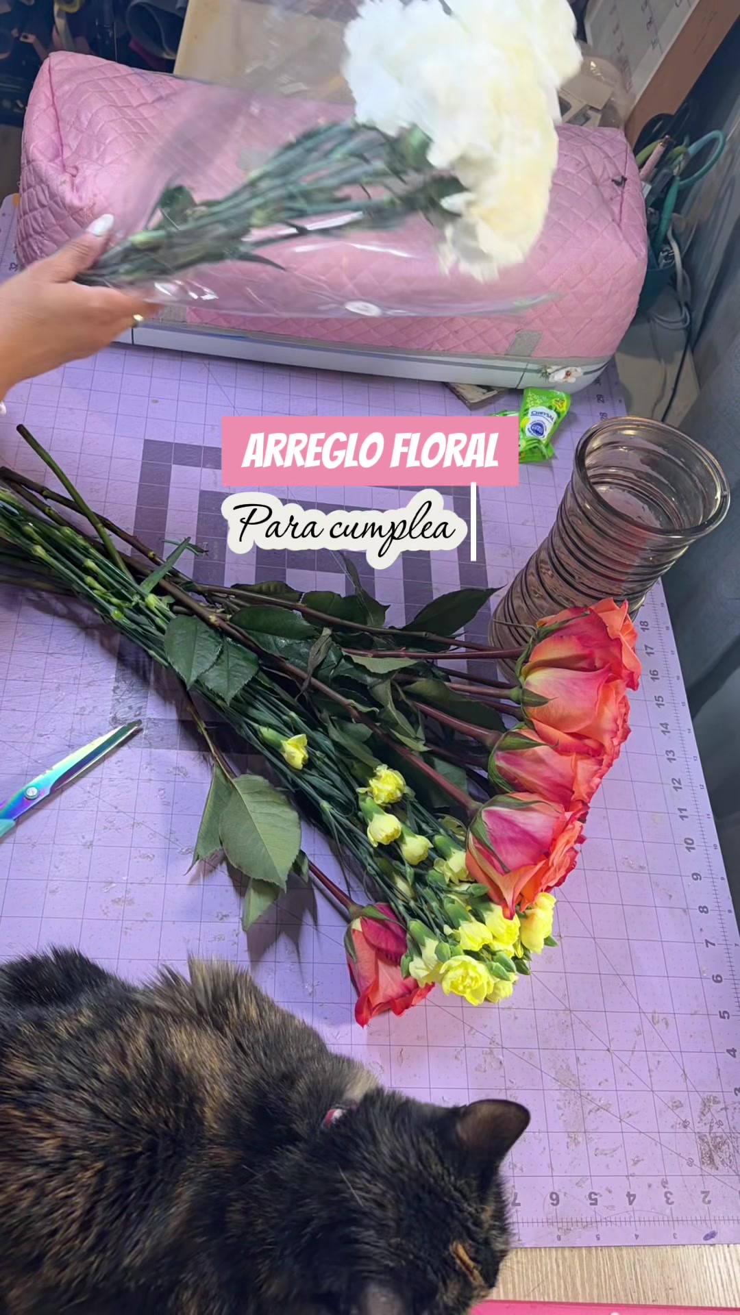 @Miau Creations