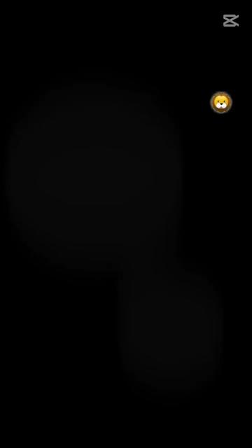 @🐼