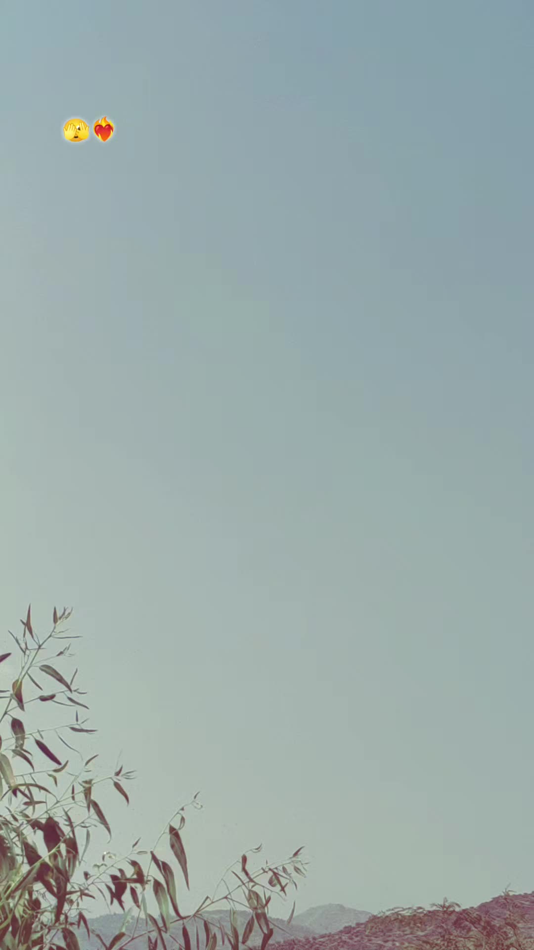 @🦋⍣⃝🇦𝐌𝐉𝐀⍣⃝ 𝐃🕊