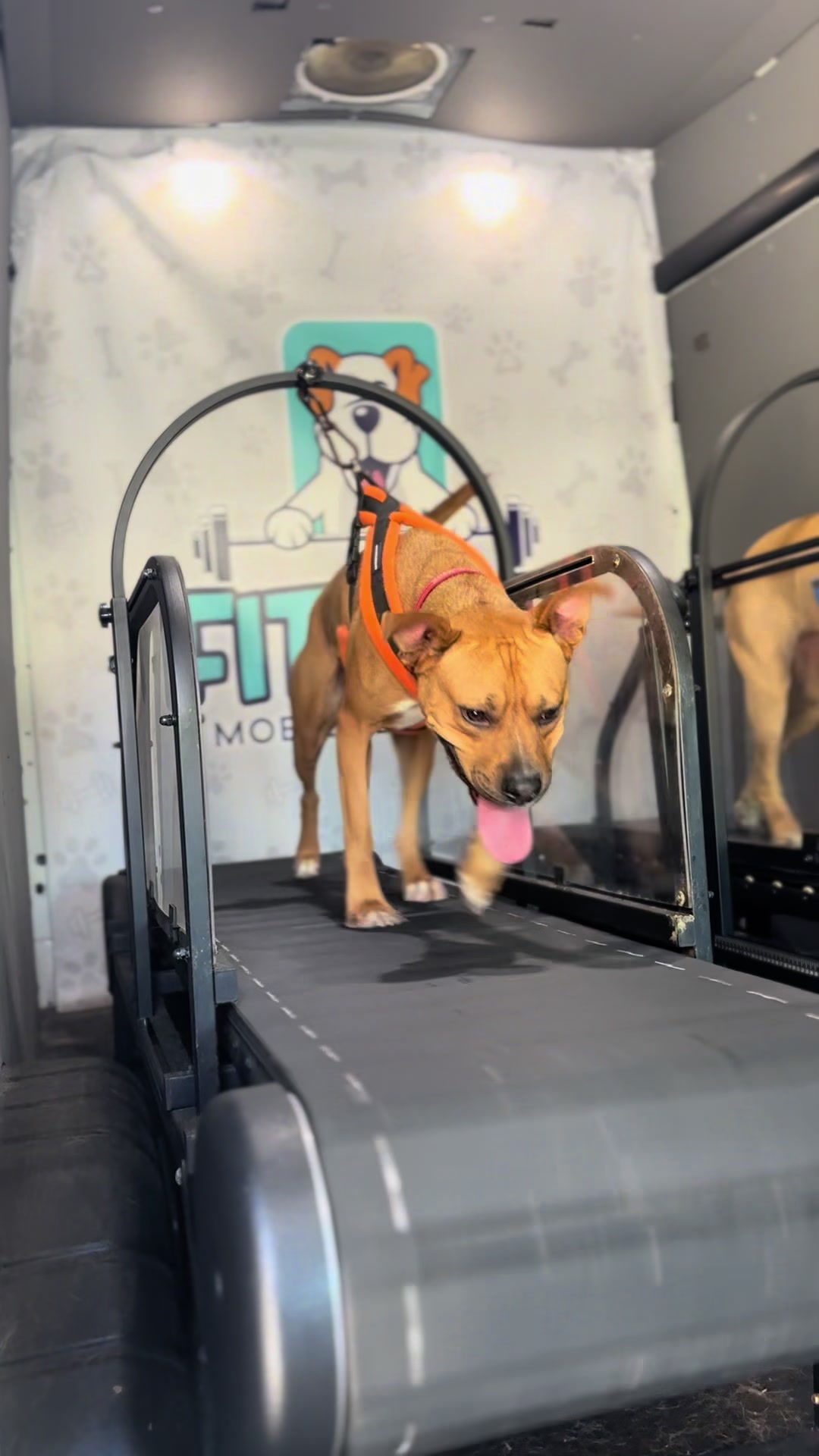 @FITPUP Mobile Dog Gym