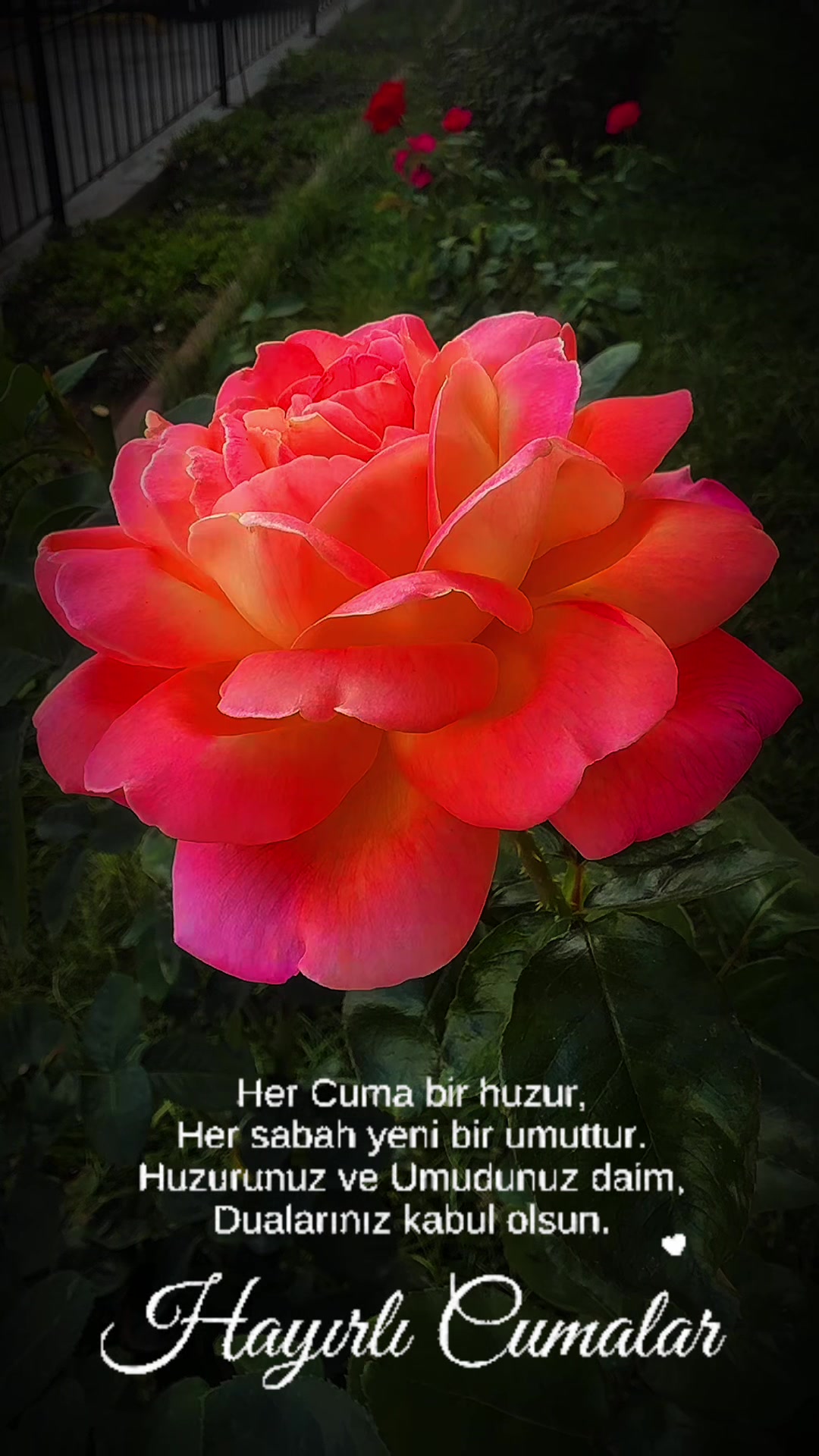 @kırgınım sana