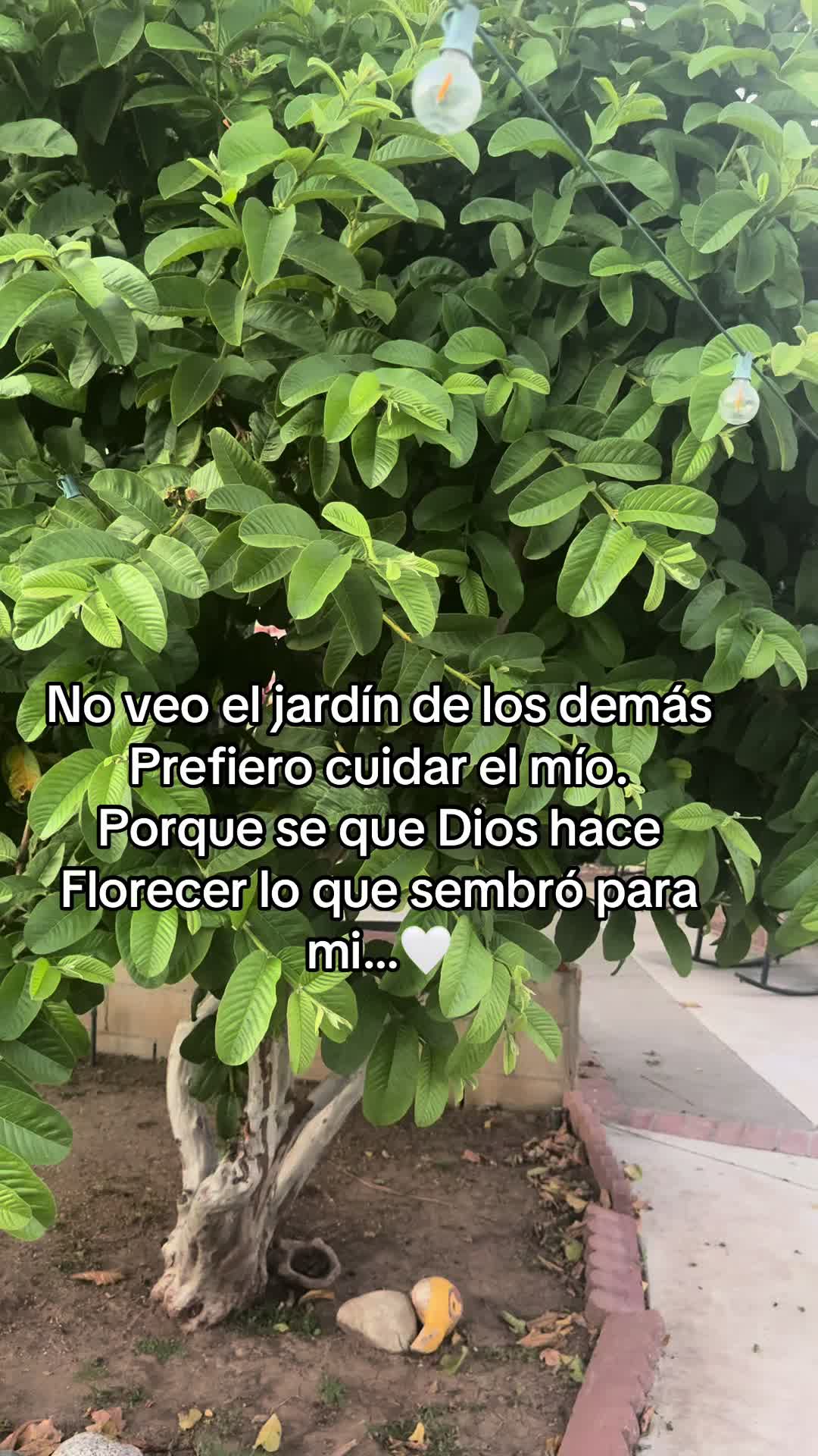 @Jess