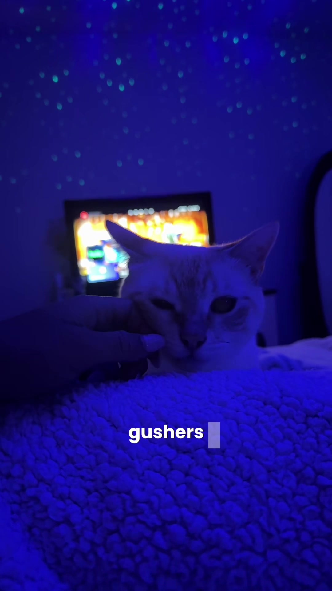 @Ai