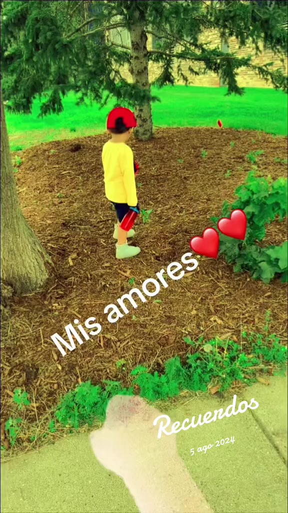 @Ana Fernandez8765