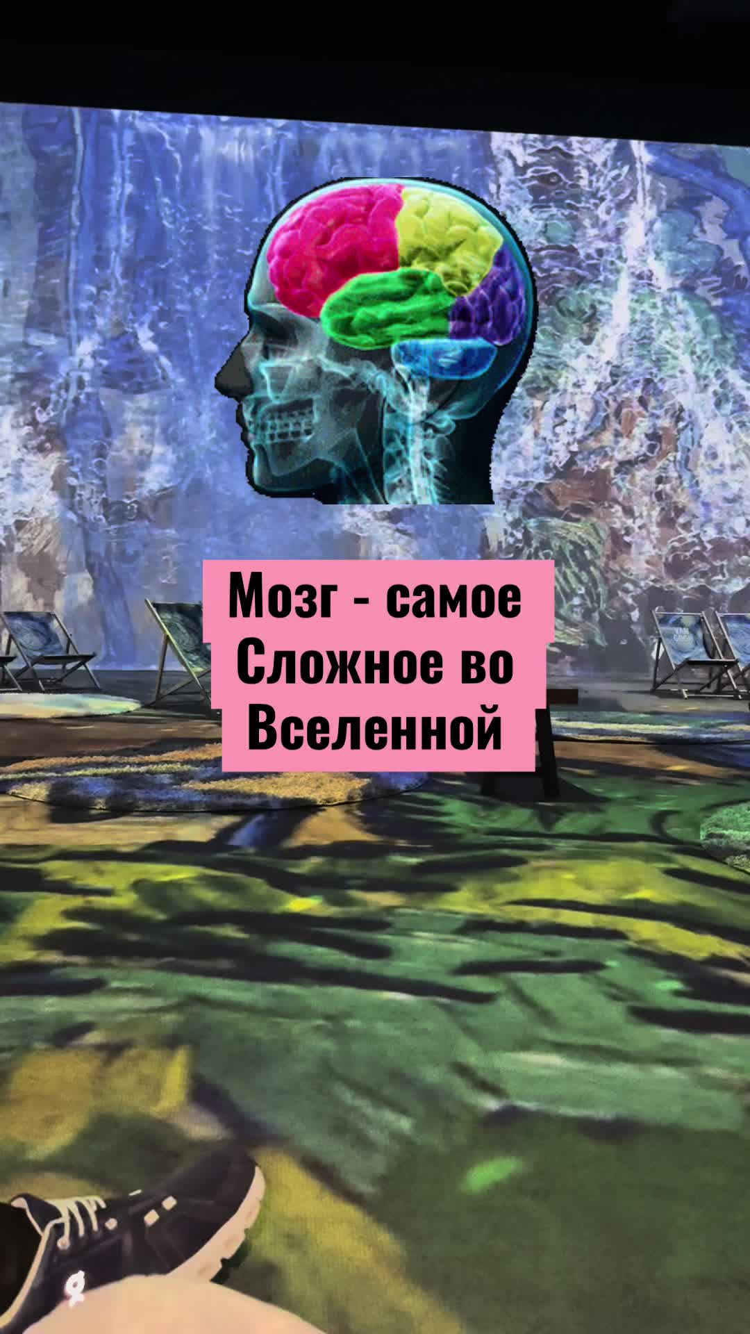 @Сергей