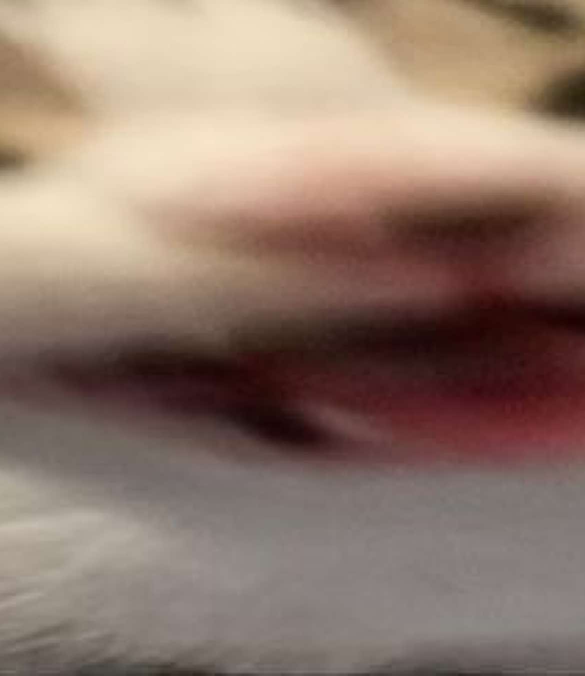 @⭑🪽