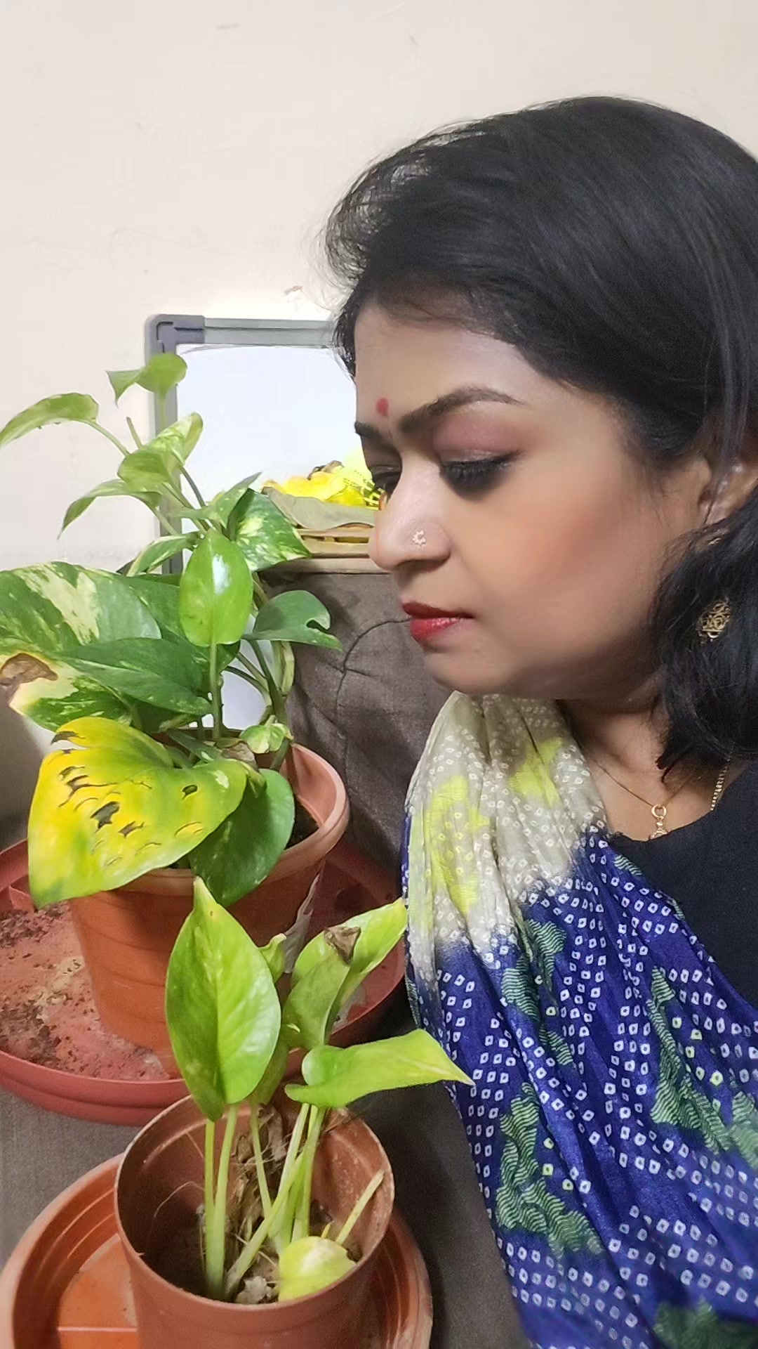 @kavi krishna