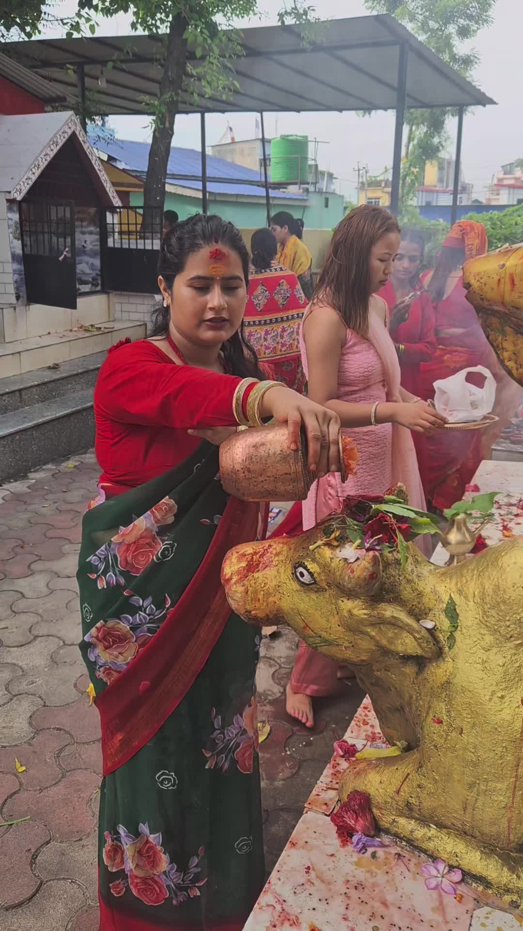 @Shila Bhandari
